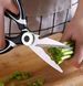 Ножиці кух. нерж. з пласт. ручками у футлярі для птиці, зелені, горіхів