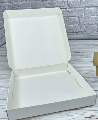 Коробка д. пряників 200х200х30 закрита БІЛА
