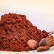 Какао порошок deZaan Olam Cocoa D21S 20-22% алкалізований ваг.