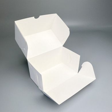 Коробка-контейнер 150х90х80 БІЛА