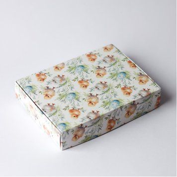 Коробка д. пряників 155х110х30 закрита ЦЄП'ЯТА