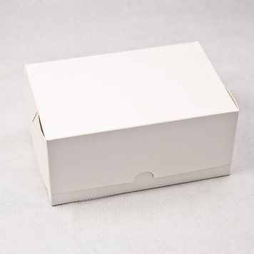 Коробка-контейнер 210х150х100 БІЛА закрита